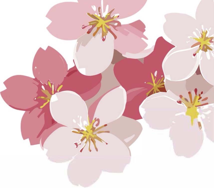 桜のイラスト