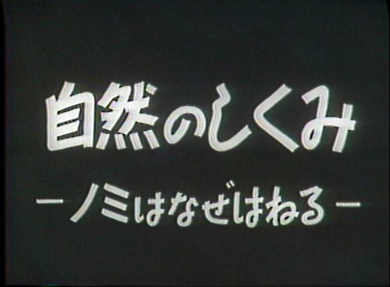 自然のしくみ ノミはなぜはねる　