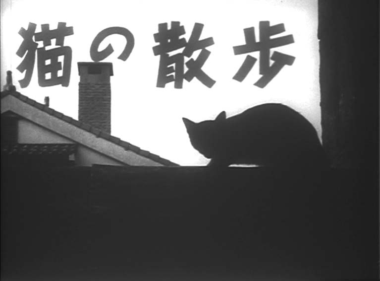 猫の散歩