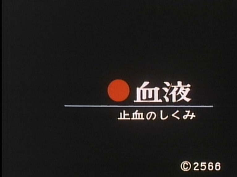 血液　止血とそのしくみ