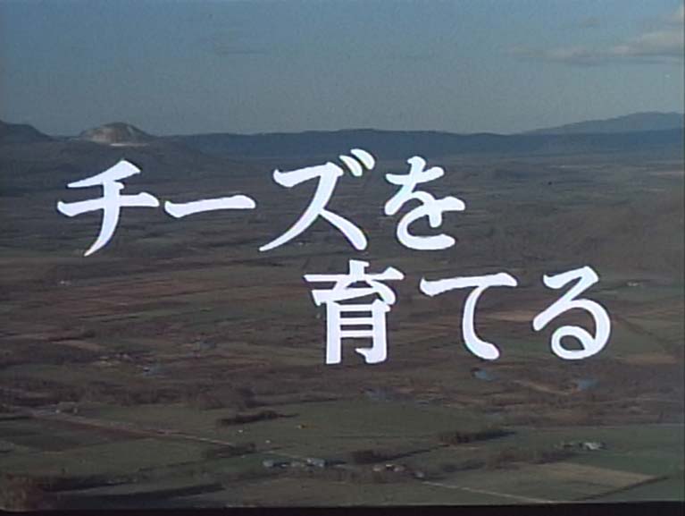 チーズを育てる