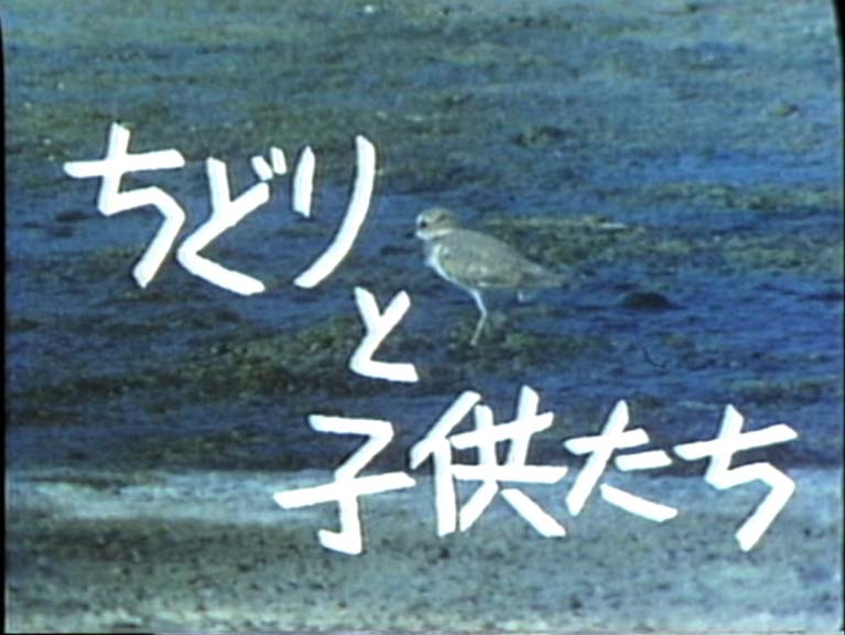 ちどりと子供たち