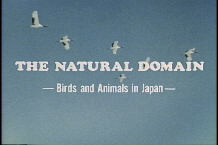 The Natural Domain Birds and animals in Japan　
（日本の自然と動物）