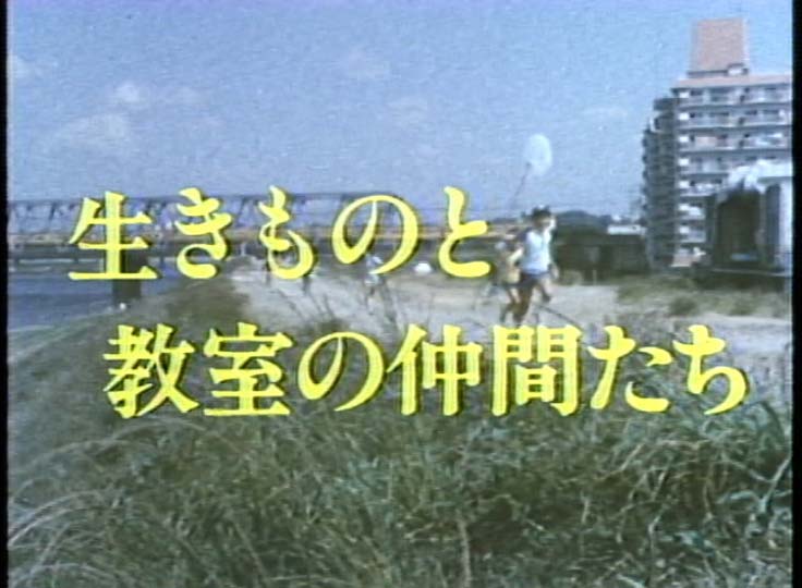 生きものと教室の仲間たち