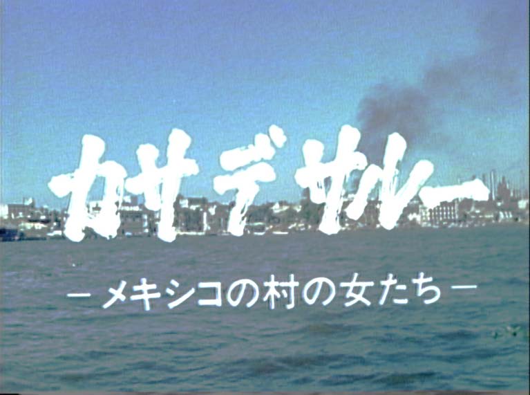 Casa de Salud
A Small Revolution of The Village in Mexico
(カサデサルー　メキシコの村の女たち)