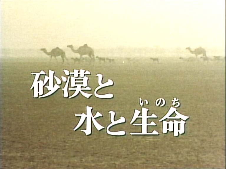 砂漠と水と生命  マリ共和国地下水開発