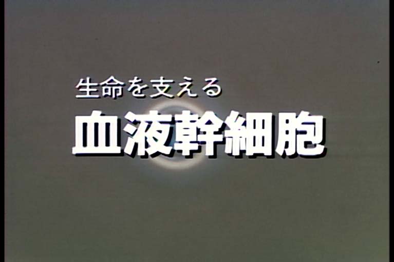 生命を支える　血液幹細胞