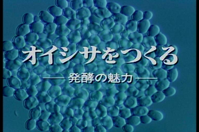オイシサをつくる　　発酵の魅力