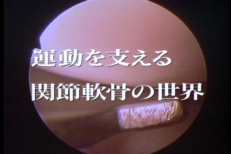 運動を支える  関節軟骨の世界