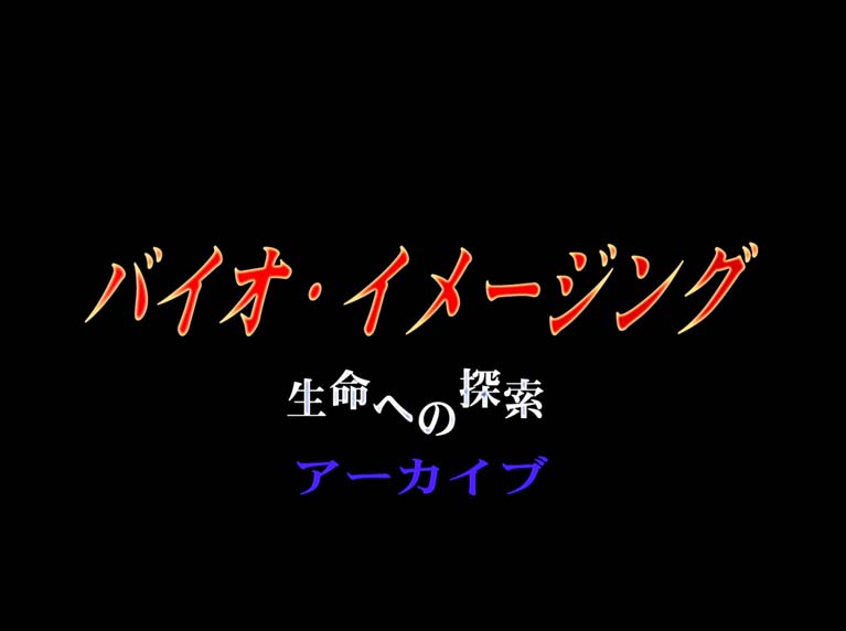 バイオイメージング　生命への探索　アーカイブ